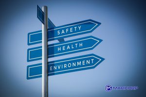 How Marina Owners Can Enhance Customer Experience