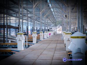 Fuel Dock Maintenance