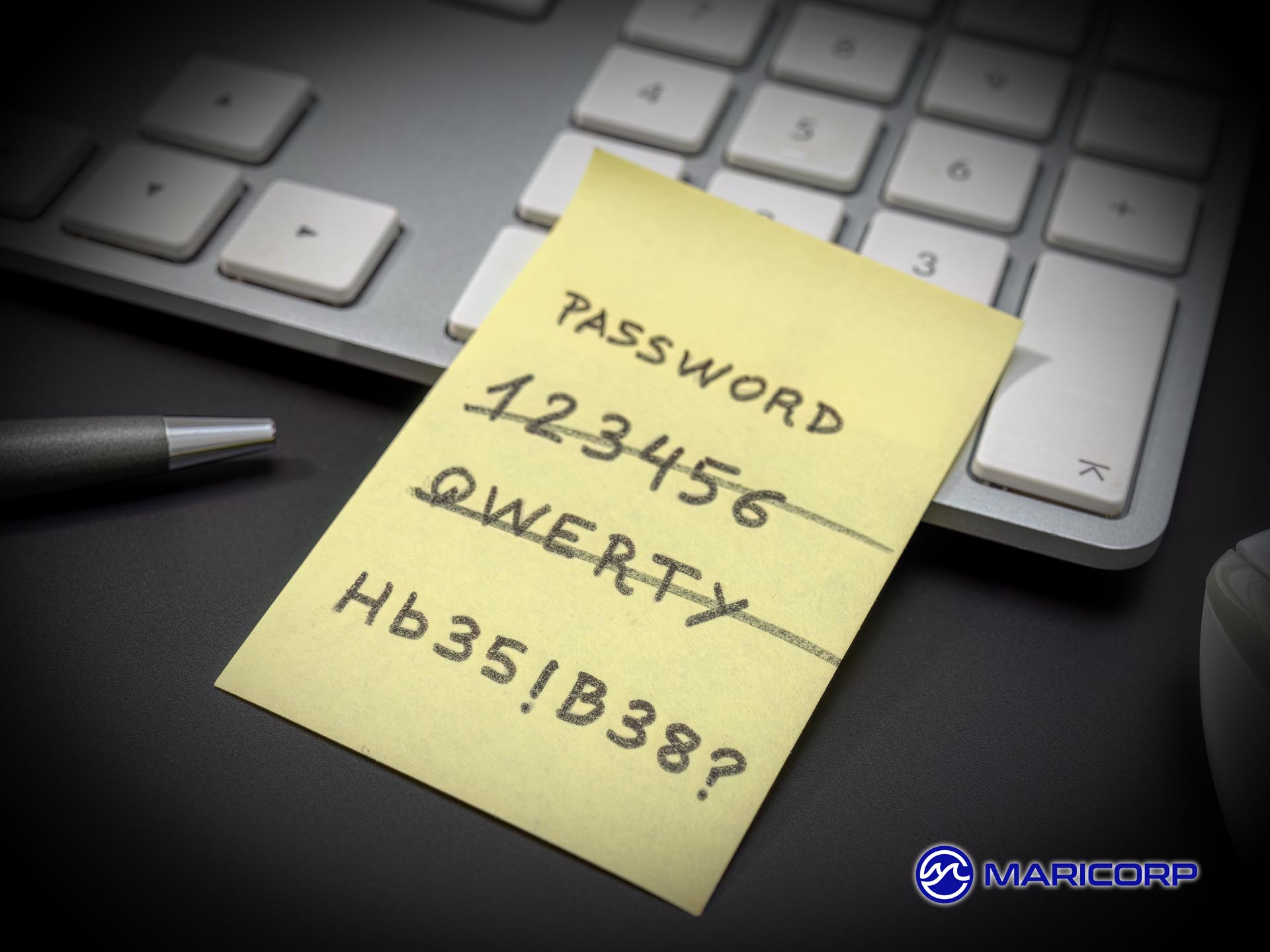 Marina Cybersecurity Tips