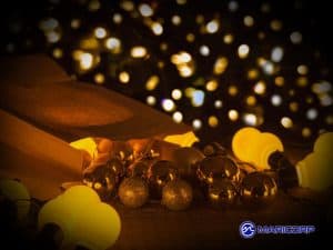 Holiday Marina Lights